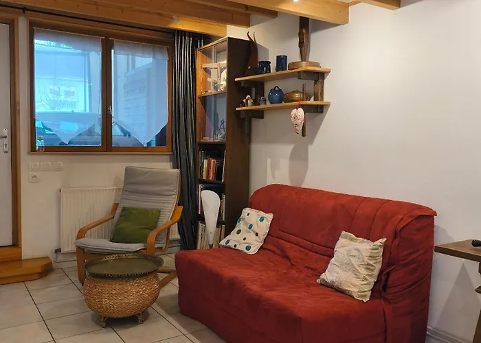 Le Du Facteur D 'orgues شقة كولمار